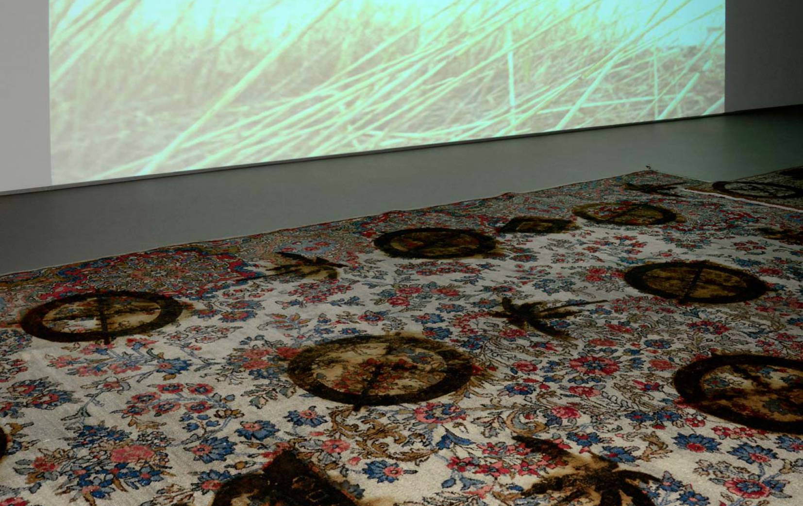 cover-05-aaf921acecdc83725373470d7d0857db