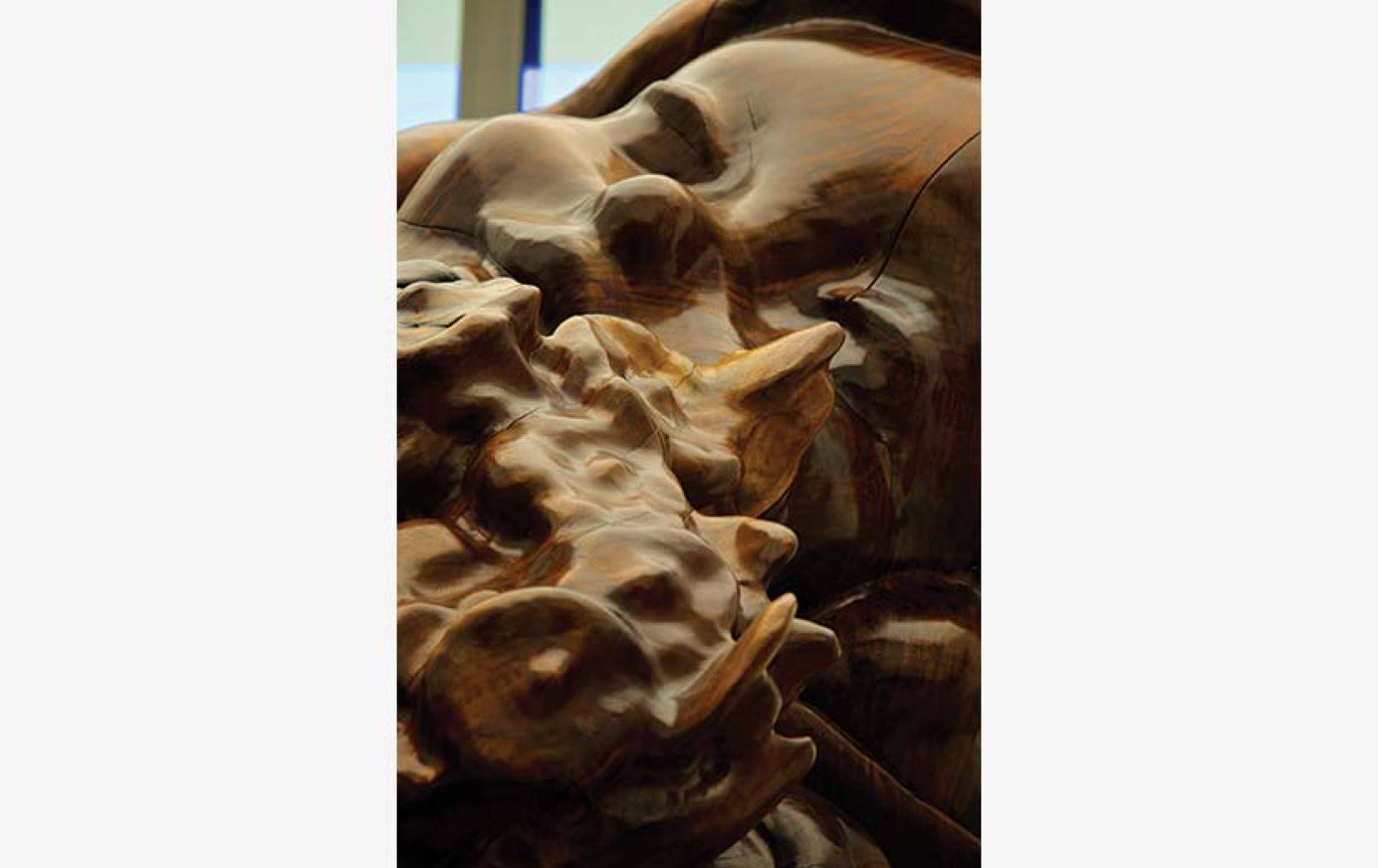 cover-05-f5367f79e18aa3a91d03df6739340d06